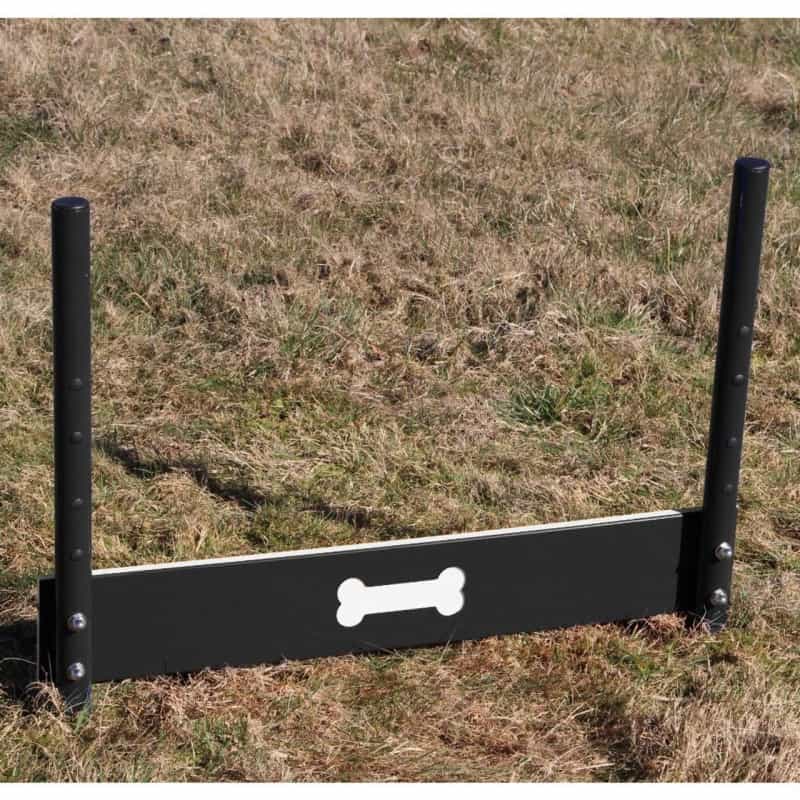 Dog Wall Jump Single