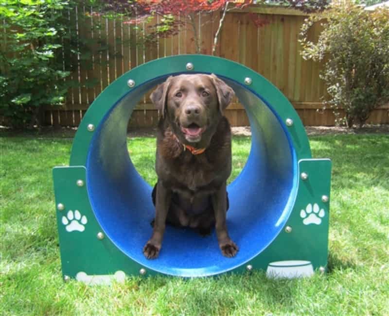 Bow Wow Barrel Dog Agility Tunnel