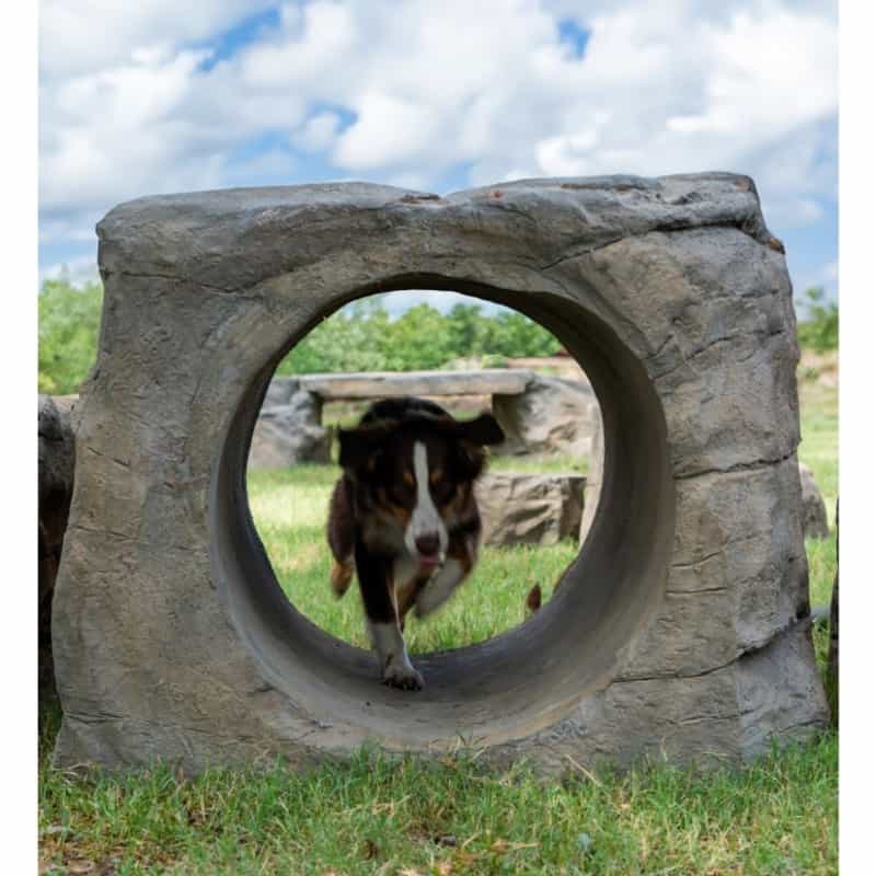 Naturedog Boulder Run