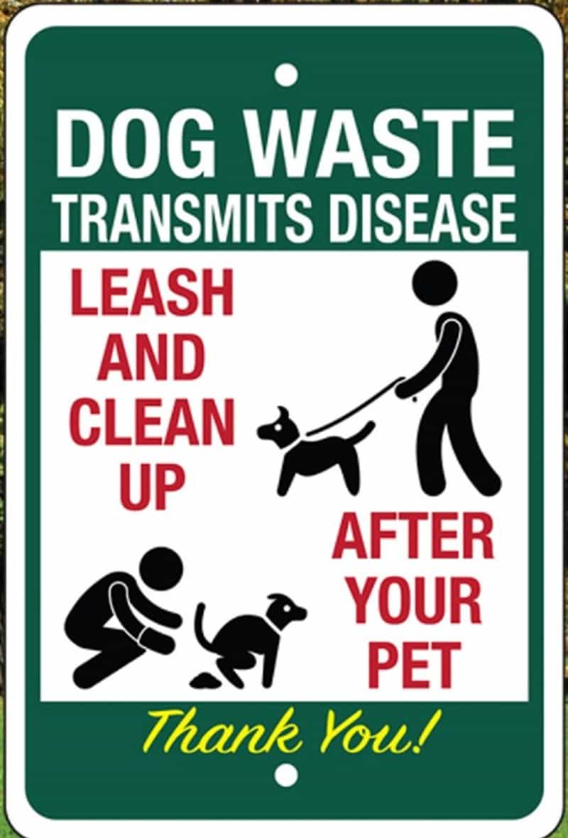 Dog Waste Transmits Disease