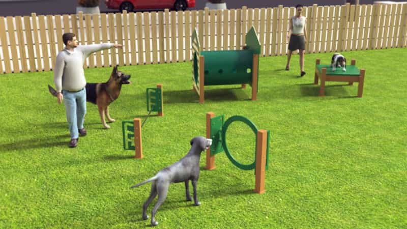 Recycled Novice Dog Course - 4 Piece