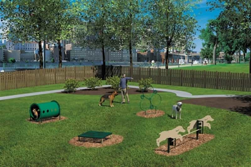Novice Dog Park Kit - 4 Piece