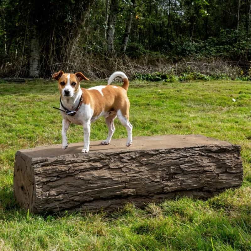 Naturedog Dog Leg Walk - Set Of 2
