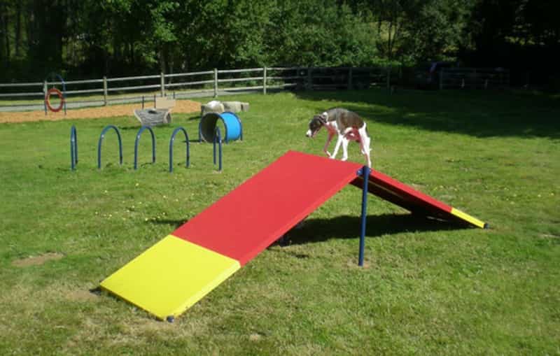 A-Frame Dog Park Ramp
